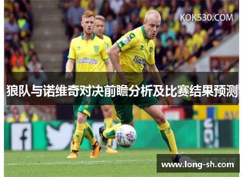 狼队与诺维奇对决前瞻分析及比赛结果预测
